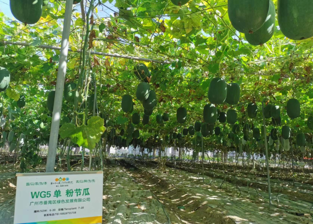 微信圖片_20221123123419.png 微信圖片_20221123123419.png