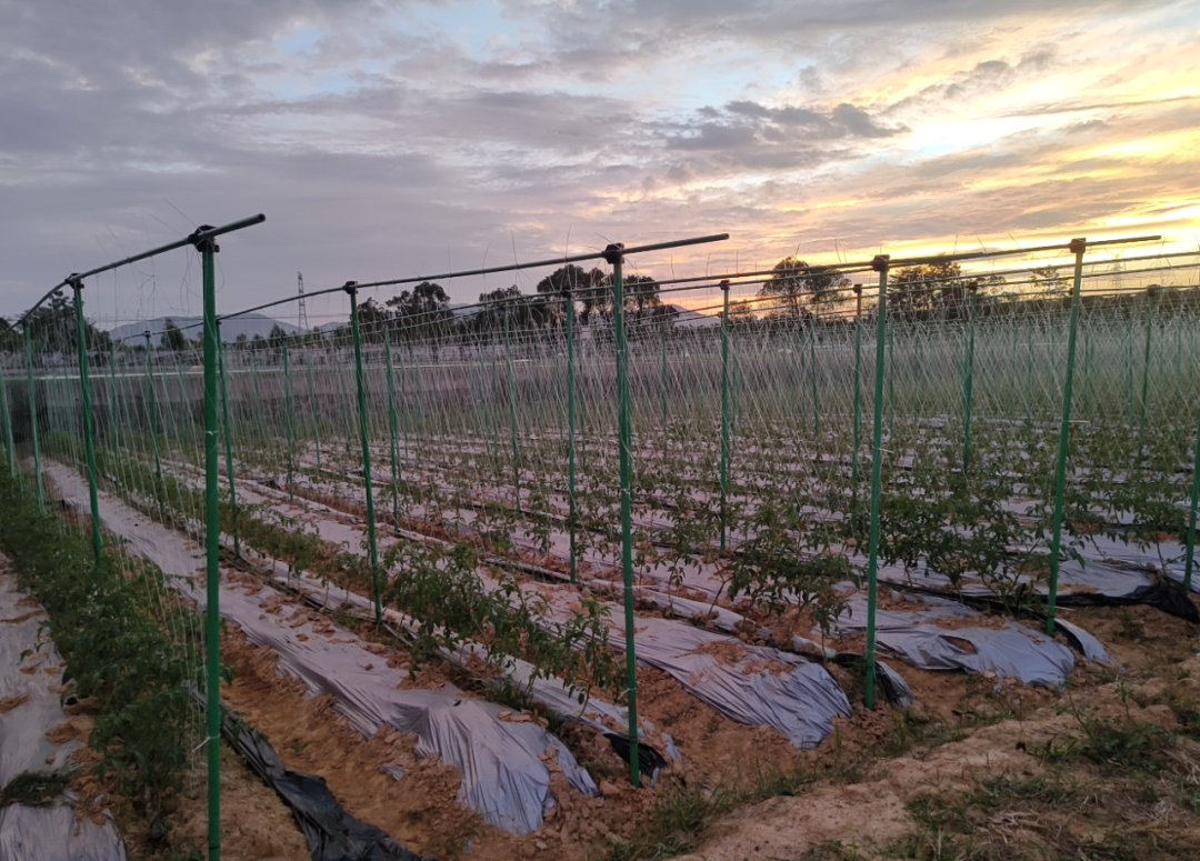 微信圖片_20221123123427.png 微信圖片_20221123123427.png