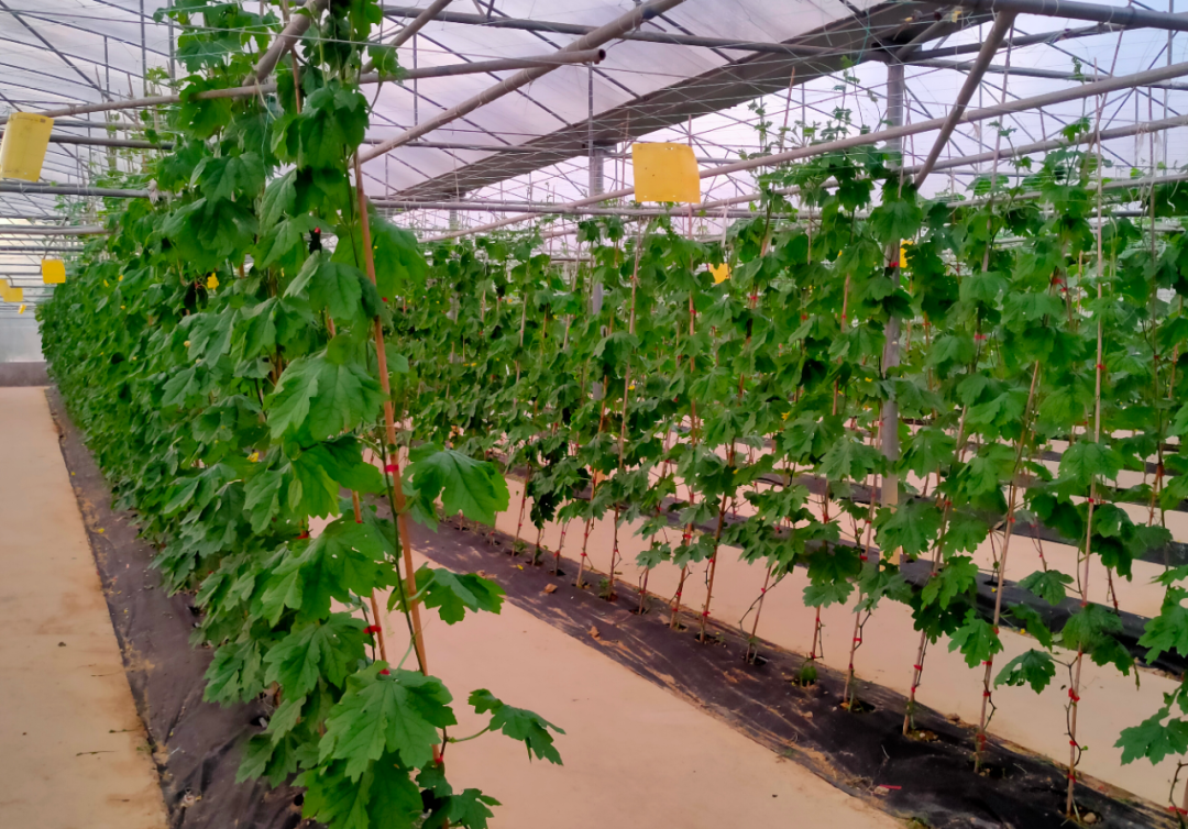 微信圖片_20221123123434.png 微信圖片_20221123123434.png