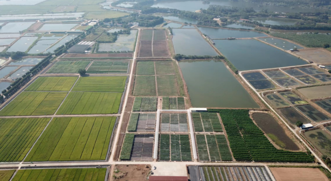 微信圖片_20221123123440.png 微信圖片_20221123123440.png