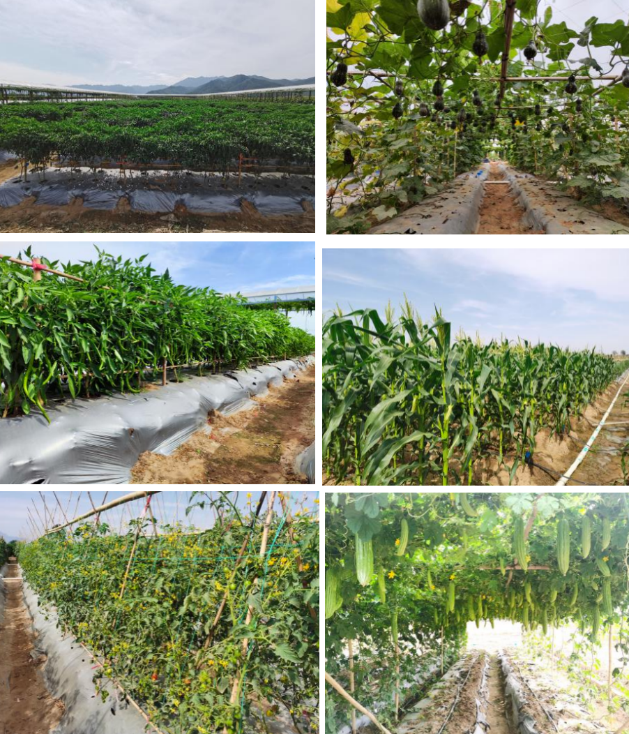 微信圖片_20221123123444.png 微信圖片_20221123123444.png